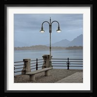 Lake Vista V Framed Print