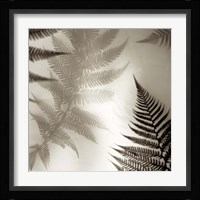 Florison 65 Framed Print