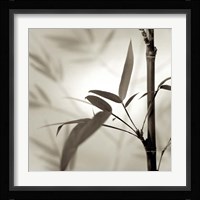 Florison 64 Framed Print