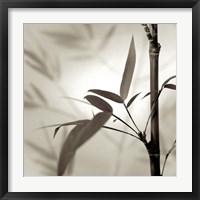 Florison 64 Framed Print