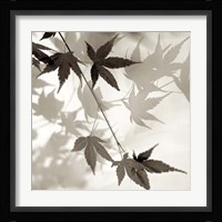 Florison 63 Framed Print