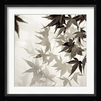 Florison 57 Fine Art Print