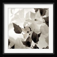Florison 54 Fine Art Print