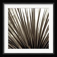 Florison 48 Fine Art Print