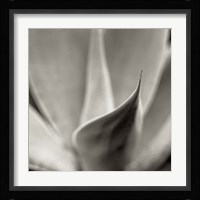 Florison 42 Framed Print