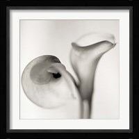 Florison 35 Framed Print