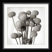 Florison 33 Fine Art Print