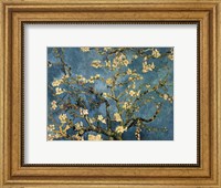 Blossoming Almond Tree, Saint-Remy, c.1890 Fine Art Print
