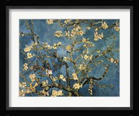 Blossoming Almond Tree, Saint-Remy, c.1890 Fine Art Print