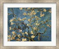 Blossoming Almond Tree, Saint-Remy, c.1890 Fine Art Print