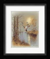 Ducks B Fine Art Print