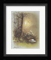 Hat in the Grass Fine Art Print