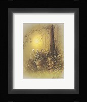 Potted Plant Fine Art Print