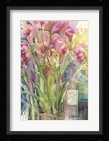 Orchid Gathering Fine Art Print