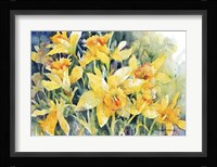 Daffodil Party Fine Art Print