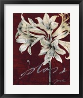 Cabernet Blossoms II Fine Art Print