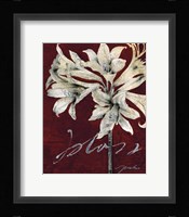Cabernet Blossoms II Fine Art Print