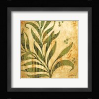 Dual Tonalities I Framed Print