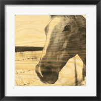 Portrait of a Horse Fine Art Print