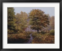 Forest Herd Fine Art Print