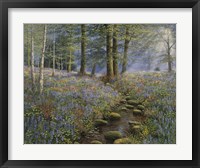 Bluebell Wood Fine Art Print