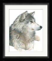 Wolf Fine Art Print