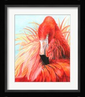 Red Flamingo Fine Art Print