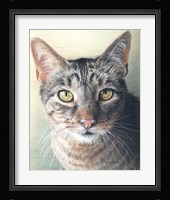 Slinky Fine Art Print