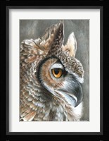 Sepia Owl Fine Art Print
