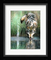 Afternoon Reflection Fine Art Print