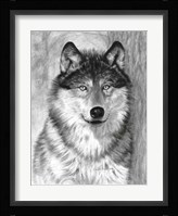 Alpha Fine Art Print