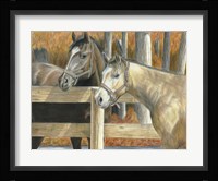 Buck's Pal Fine Art Print