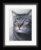 Cat Portrait Fine Art Print