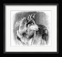 Cautious Eyes Fine Art Print