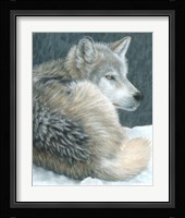 Cold Evening Fine Art Print