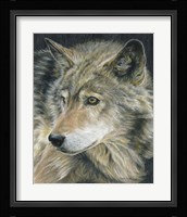 Curious Eyes Fine Art Print