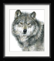 Haunting Eyes Fine Art Print