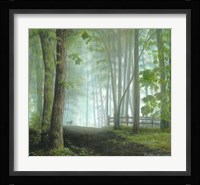 Misty Morning Visitor Fine Art Print