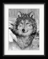 Playful Eyes Fine Art Print