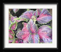 Purple Flowering Plant Fine Art Print