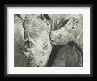 Rhino Love Fine Art Print