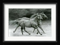 Running Free Fine Art Print