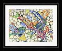 Pebble Pond Framed Print