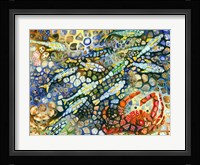 Sardine Business Framed Print