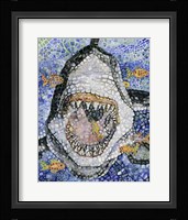 Great White Framed Print