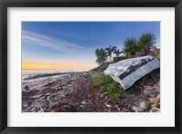 Beached Fine Art Print