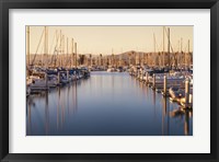 Marina Dusk Framed Print
