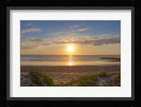 Pierpont Sunset Fine Art Print