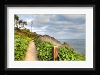 La Jolla Walk Fine Art Print