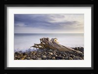 Stumped Fine Art Print